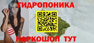 СК Дубна