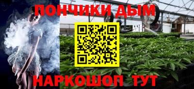 СК Дубна