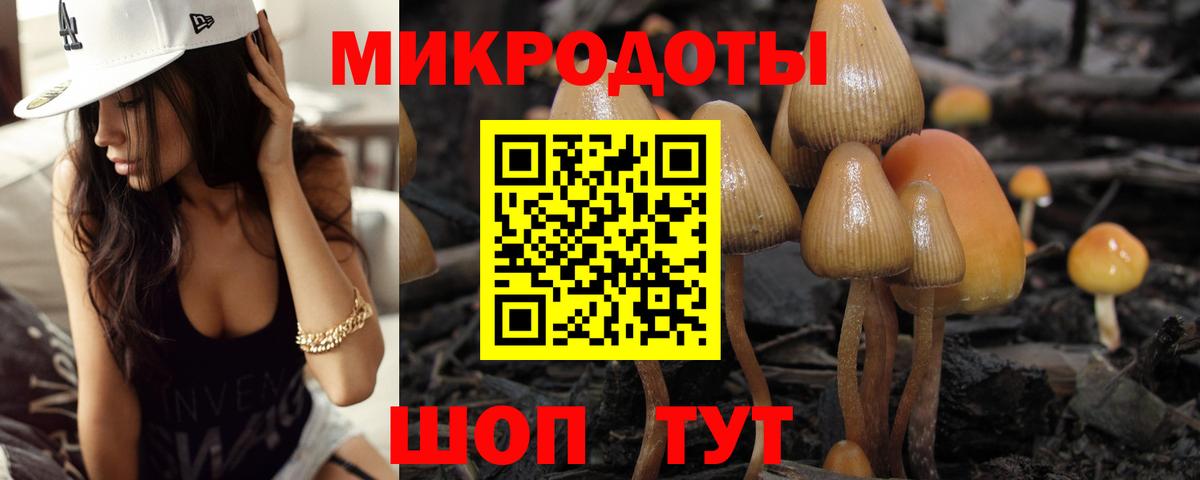 Псилоцибиновые грибы Magic Shrooms Лысьва