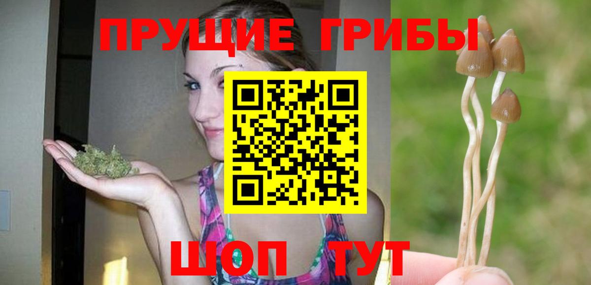 Лысьва  купить   Вход с VPN  Псилоцибиновые грибы мухоморы 